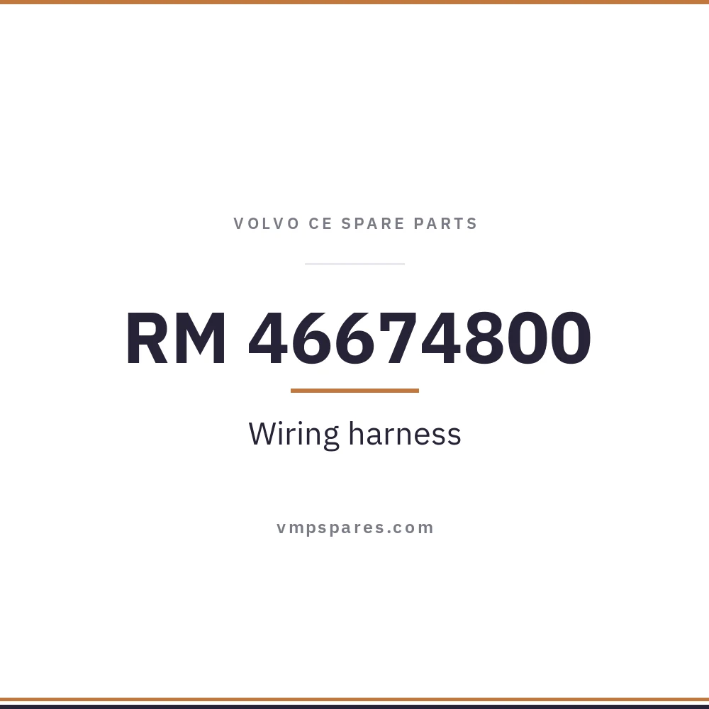 RM 46674800 – Wiring harness