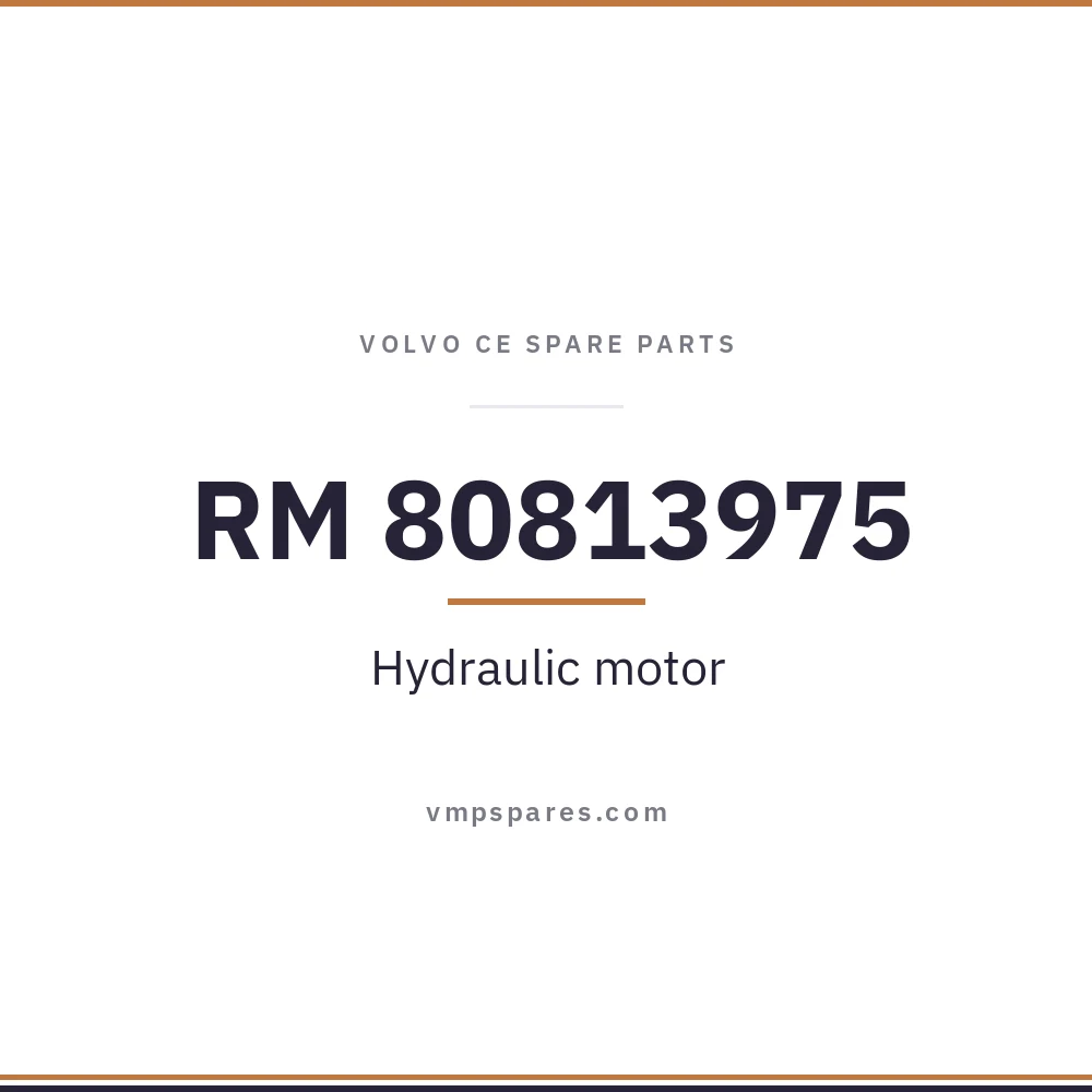 RM 80813975 – Hydraulic motor