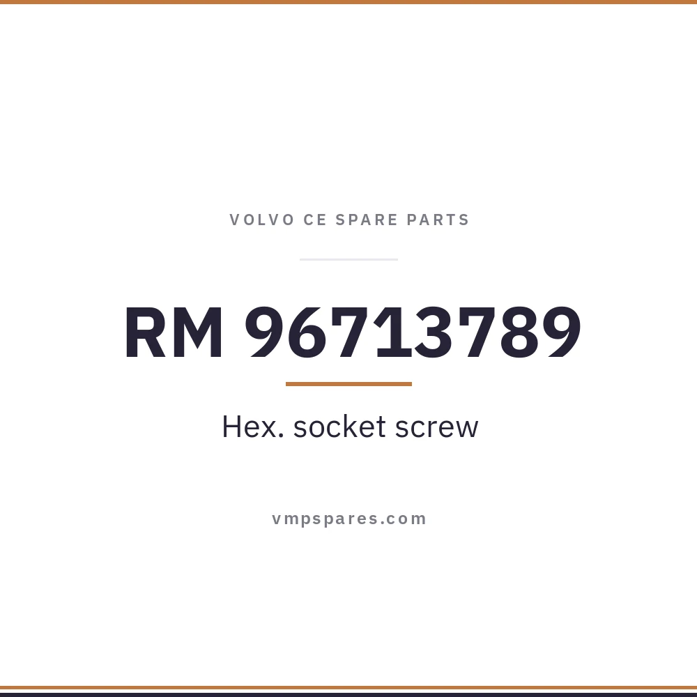 RM 96713789 – Hex. socket screw
