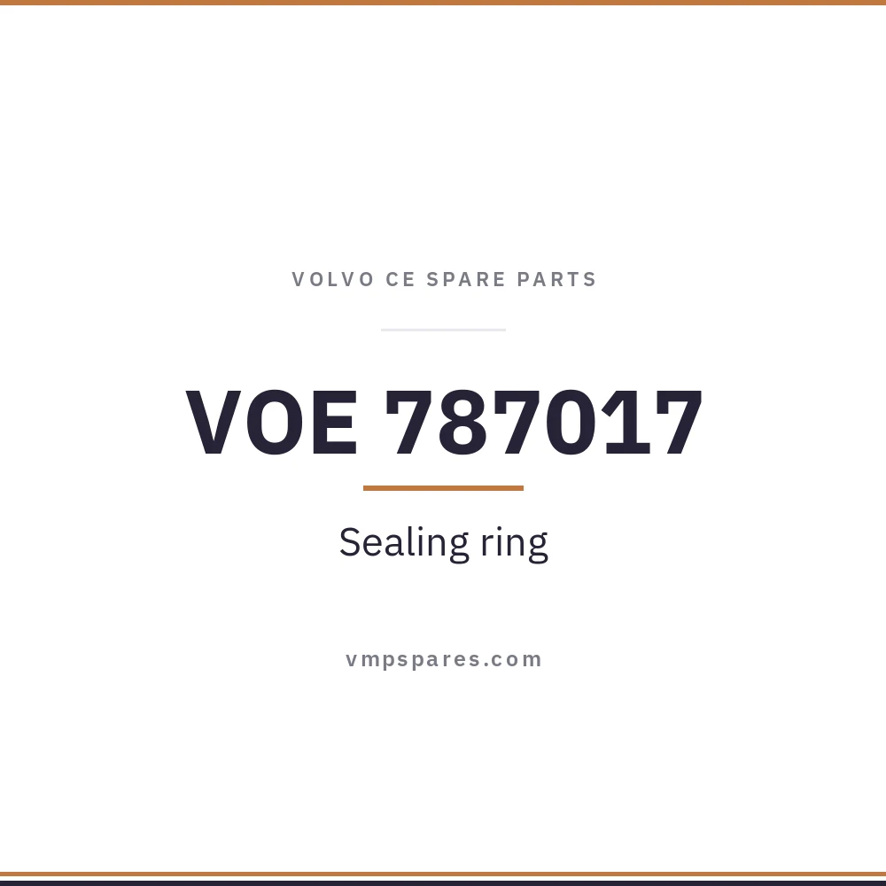 VOE 787017 – Sealing ring