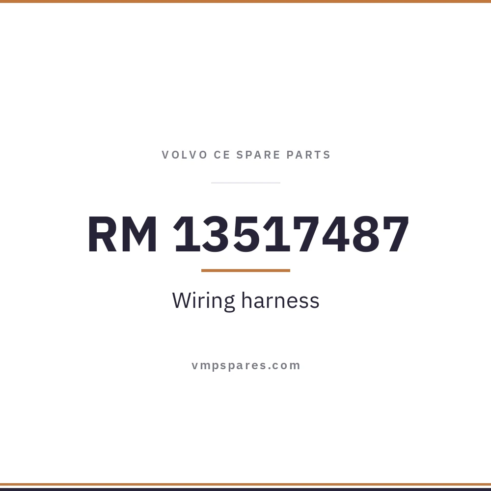 RM 13517487 – Wiring harness