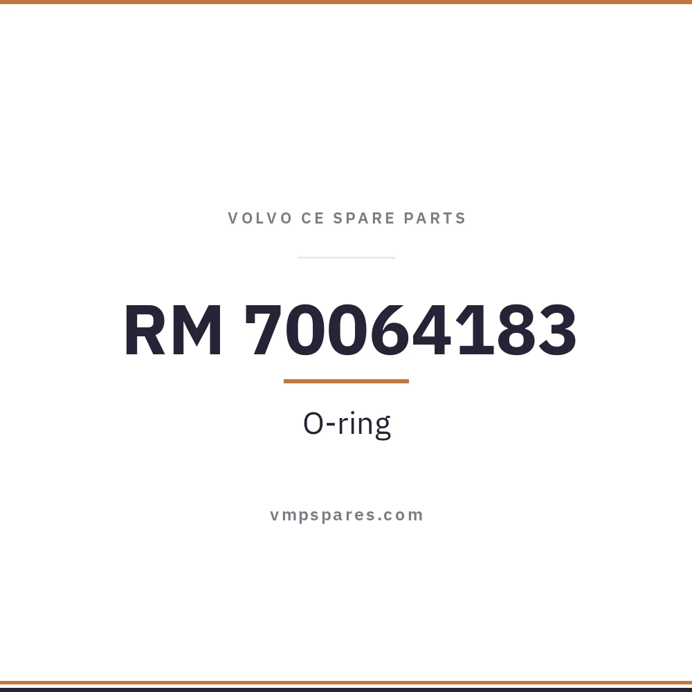RM 70064183 – O-ring