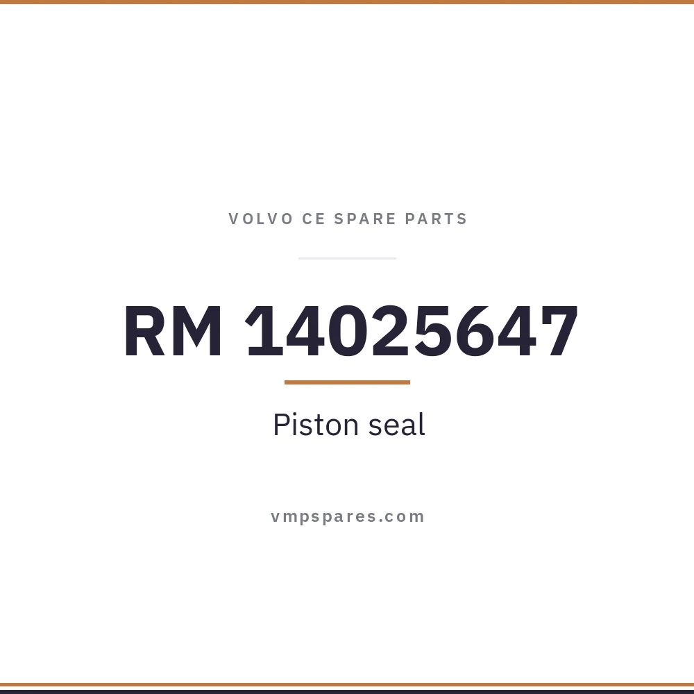 RM 14025647 – Piston seal