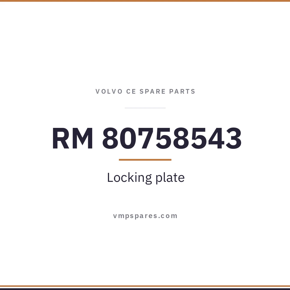 RM 80758543 – Locking plate