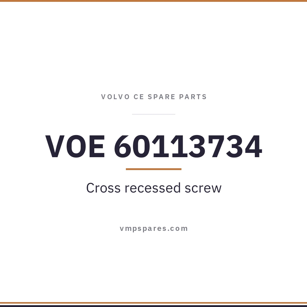 VOE 60113734 – Cross recessed screw