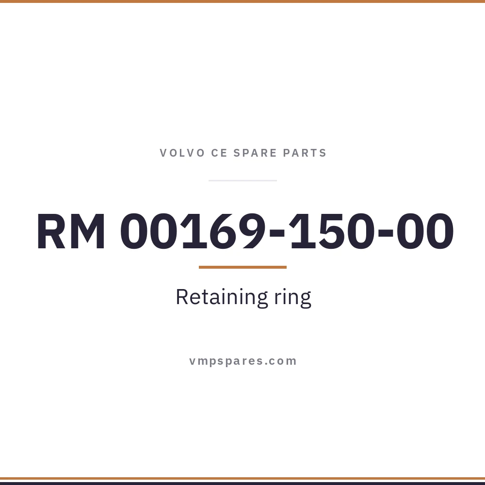 RM 00169-150-00 – Retaining ring