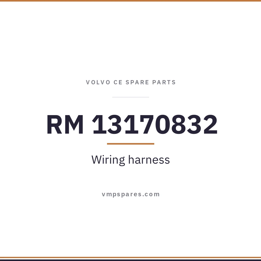 RM 13170832 – Wiring harness