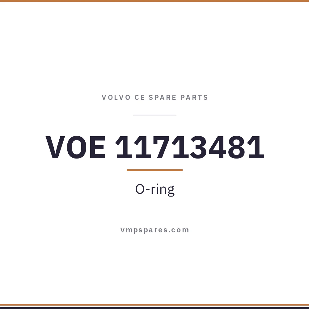 VOE 11713481 – O-ring
