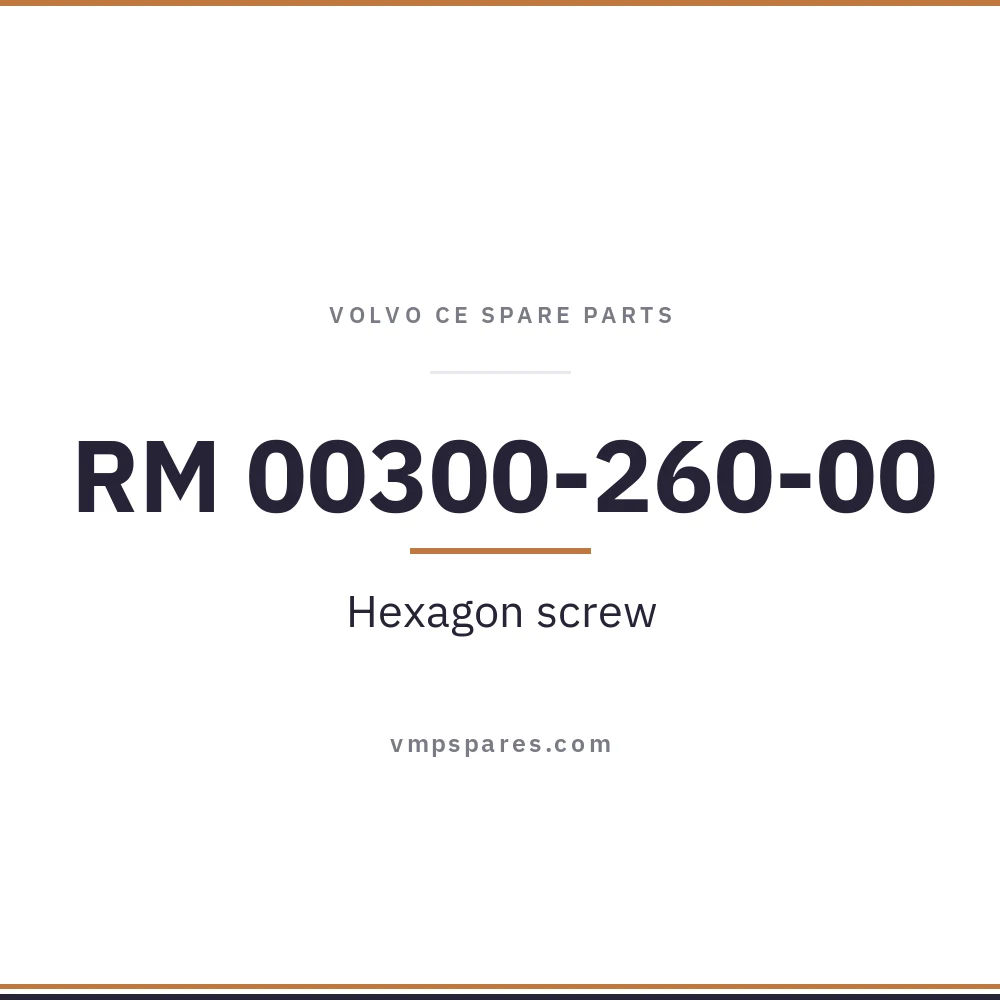 RM 00300-260-00 – Hexagon screw