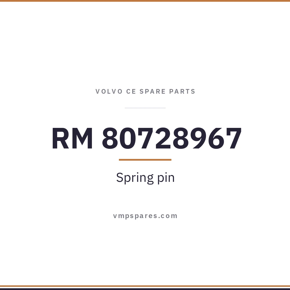 RM 80728967 – Spring pin