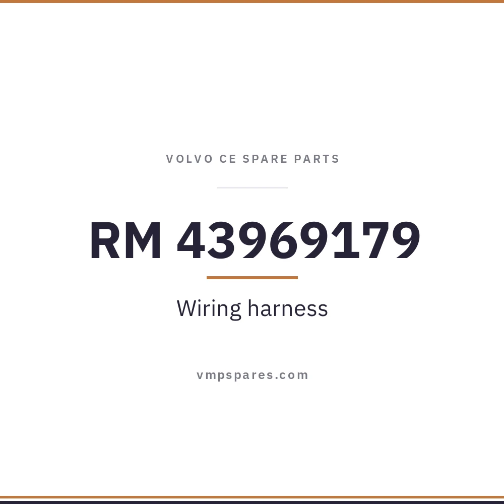 RM 43969179 – Wiring harness