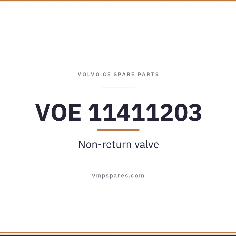 VOE 11411203 – Non-return valve