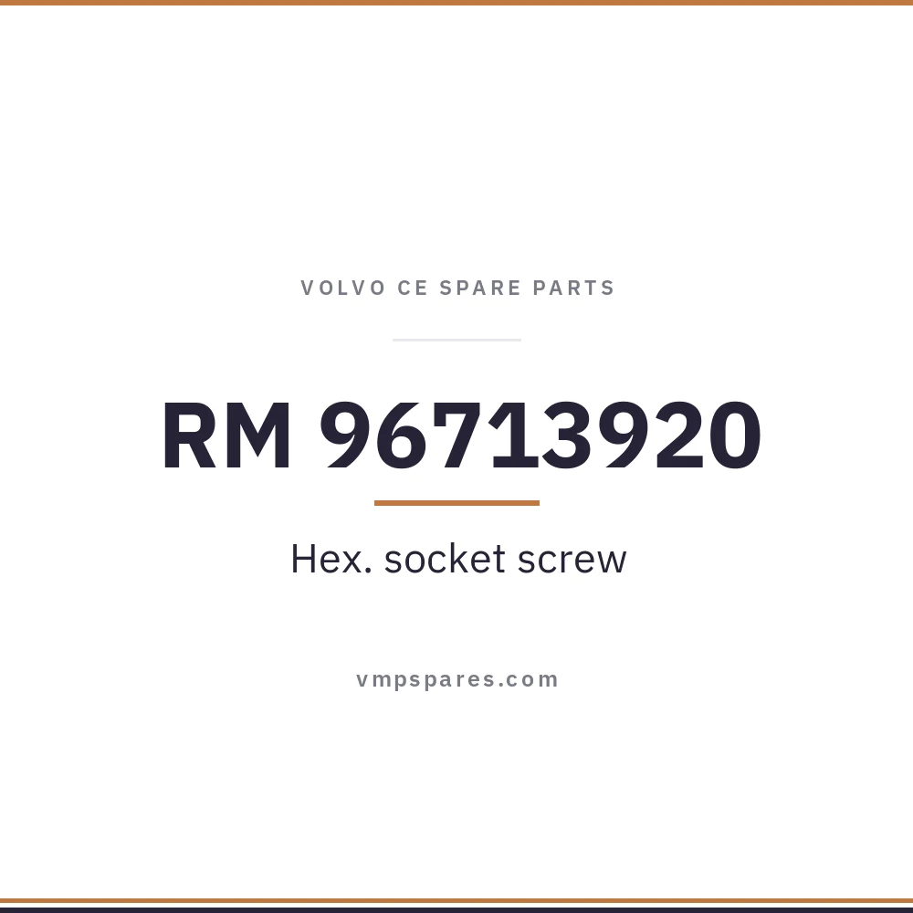 RM 96713920 – Hex. socket screw