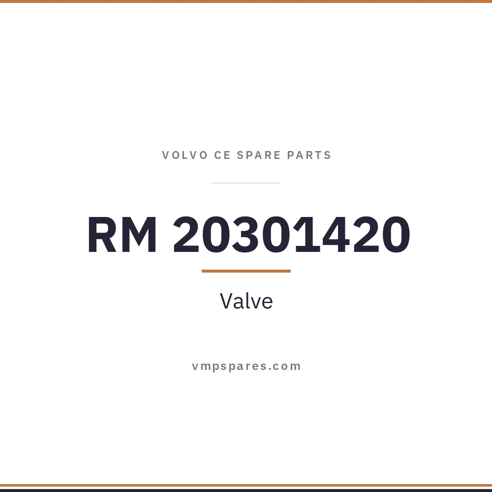 RM 20301420 – Valve