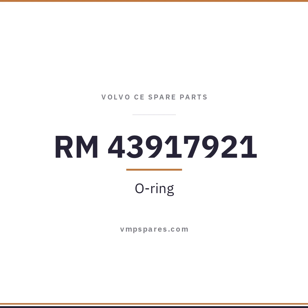 RM 43917921 – O-ring