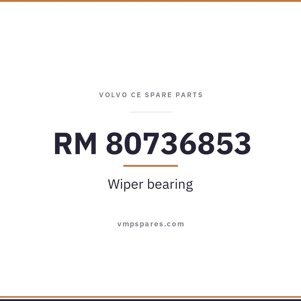 RM 80736853 – Wiper bearing