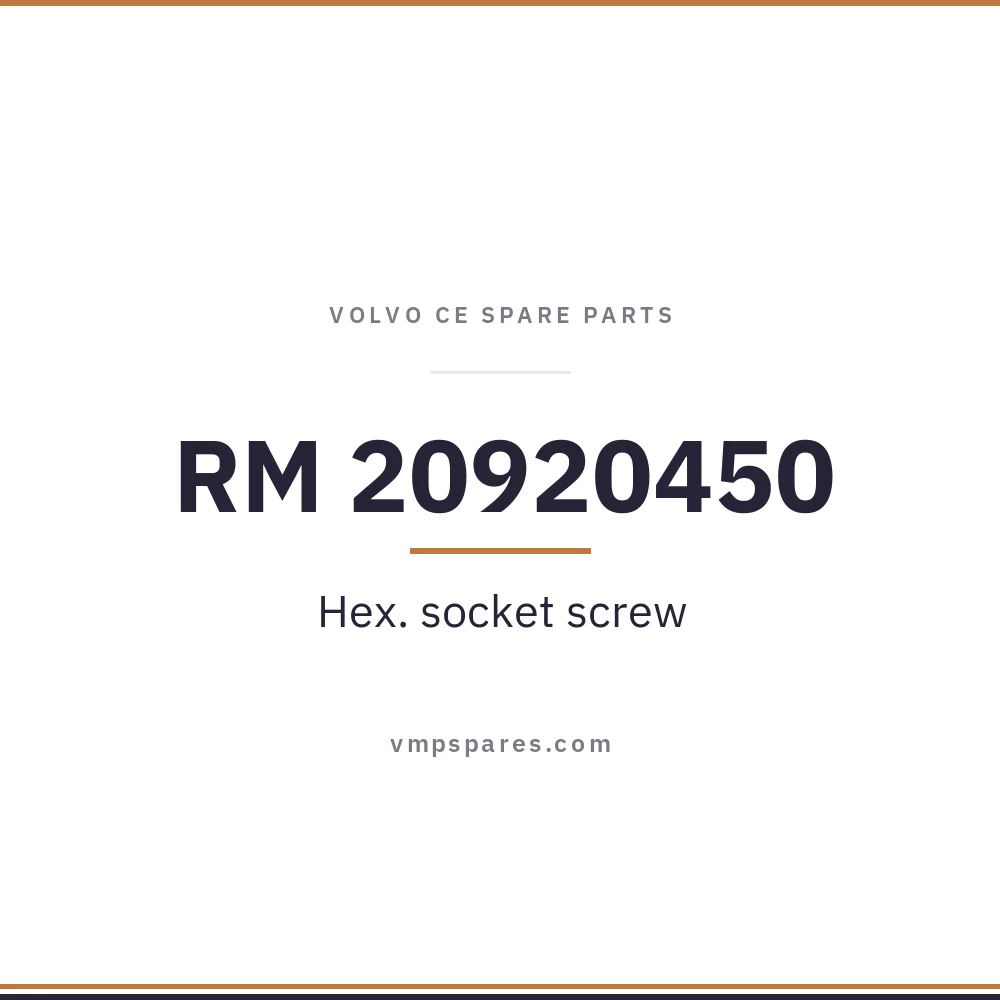 RM 20920450 – Hex. socket screw