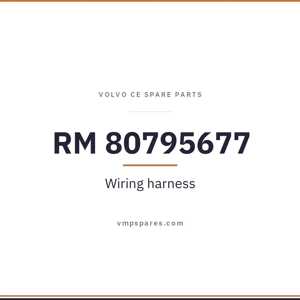 RM 80795677 – Wiring harness