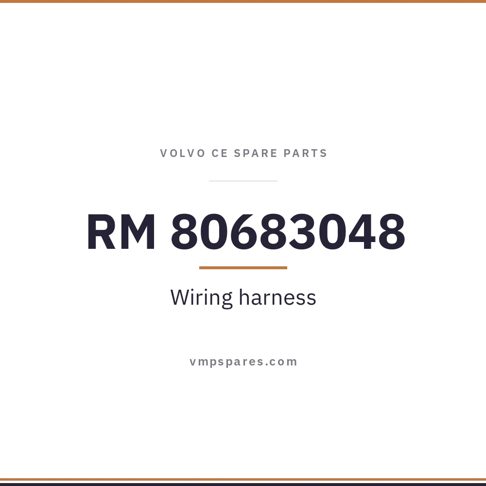 RM 80683048 – Wiring harness