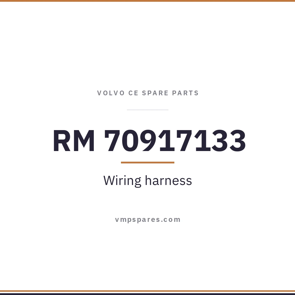 RM 70917133 – Wiring harness