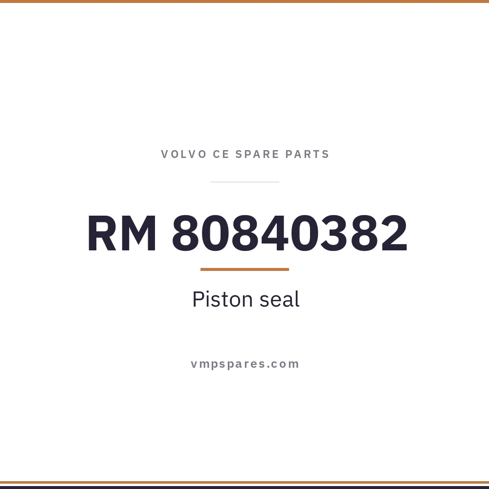 RM 80840382 – Piston seal