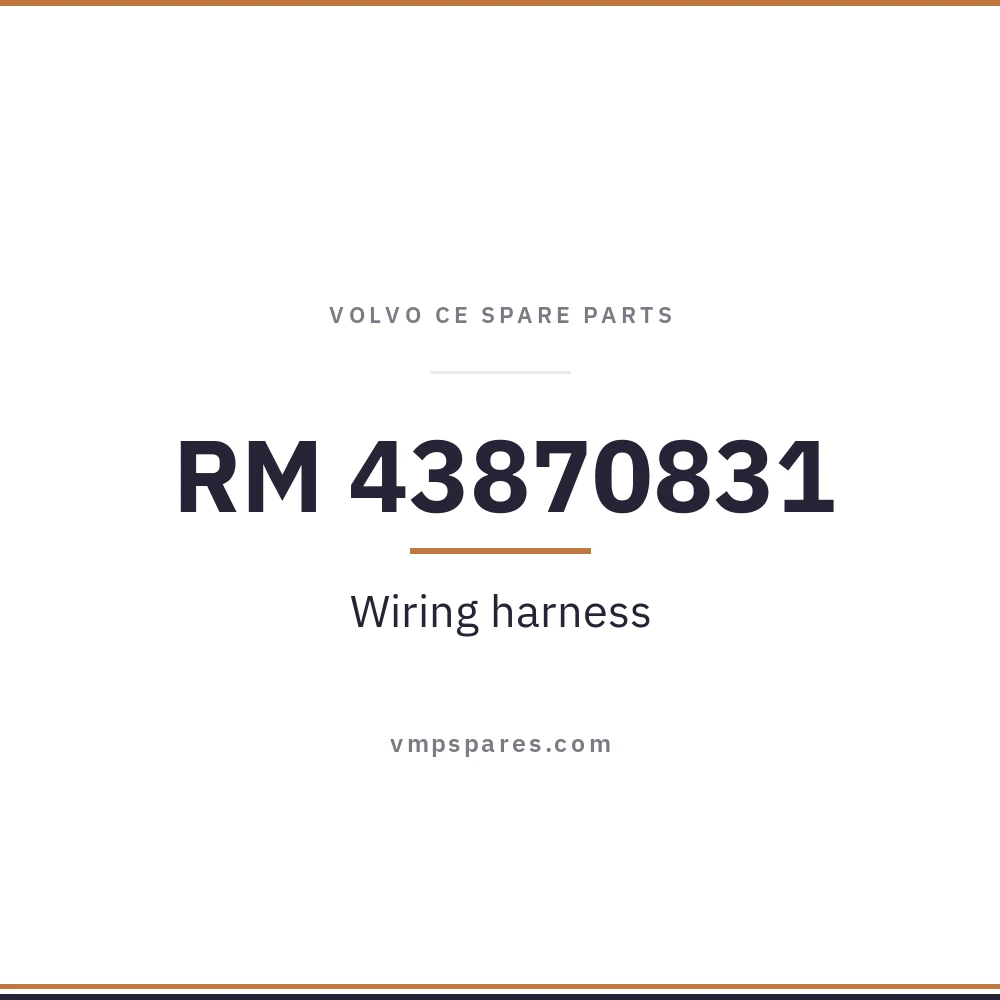 RM 43870831 – Wiring harness