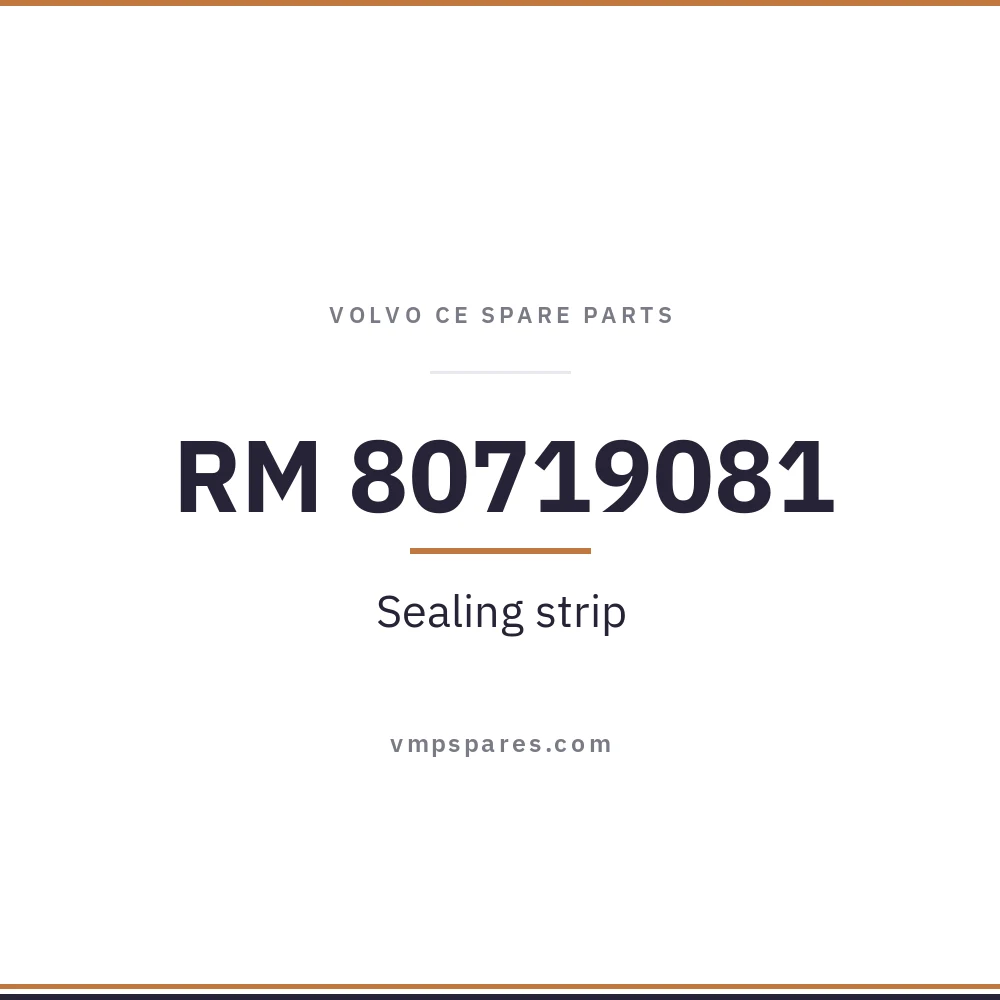 RM 80719081 – Sealing strip