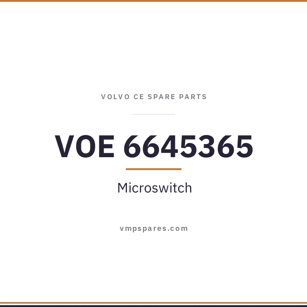 VOE 6645365 – Microswitch
