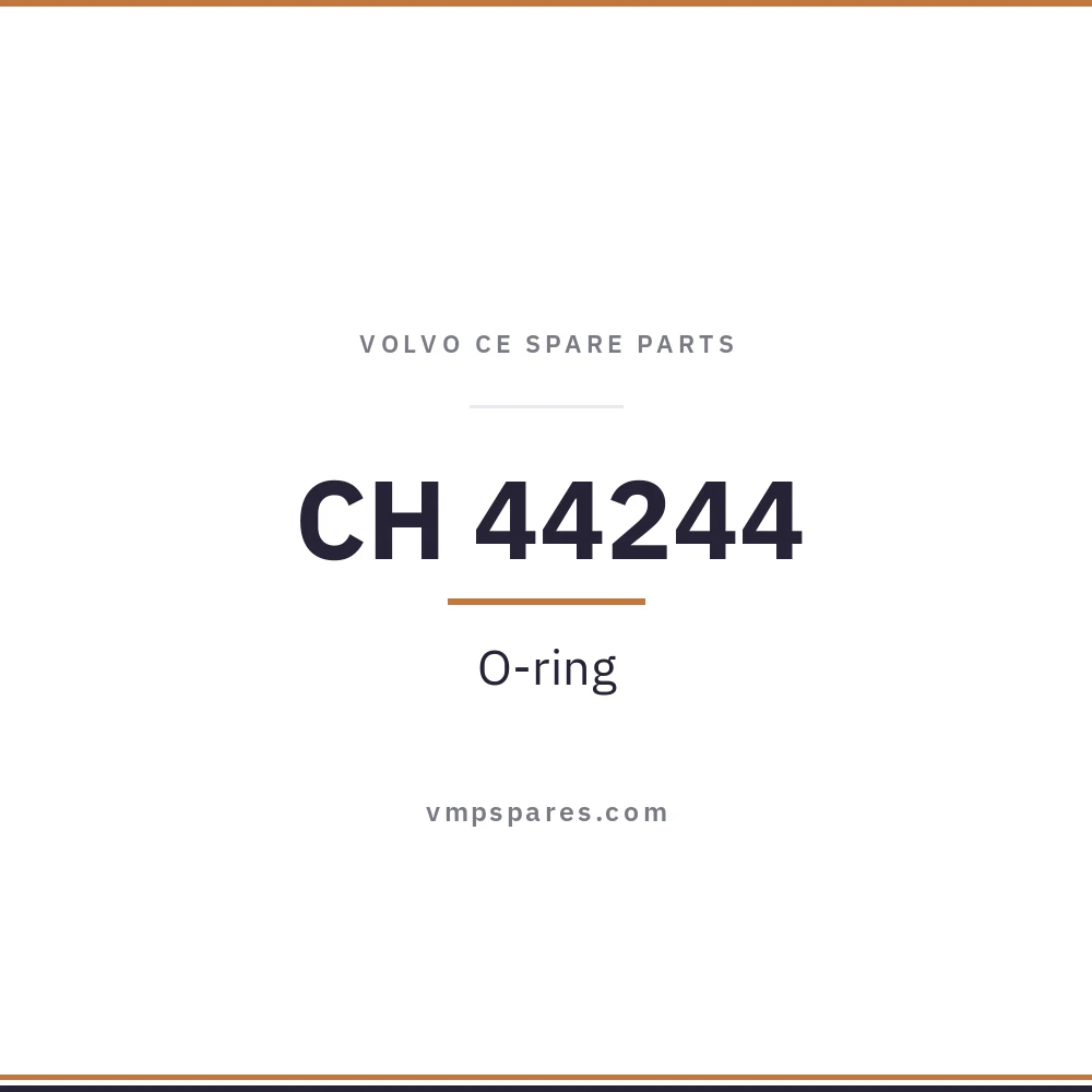 CH 44244 – O-ring