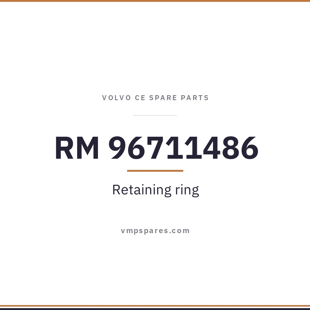 RM 96711486 – Retaining ring