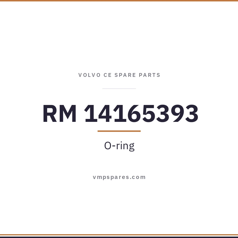 RM 14165393 – O-ring