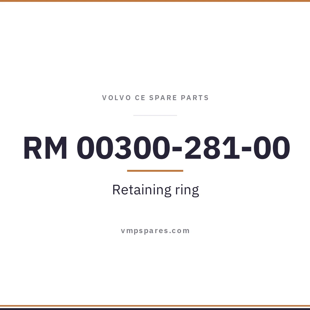 RM 00300-281-00 – Retaining ring