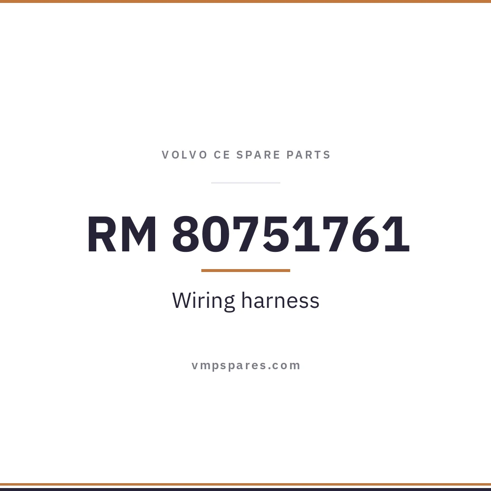 RM 80751761 – Wiring harness