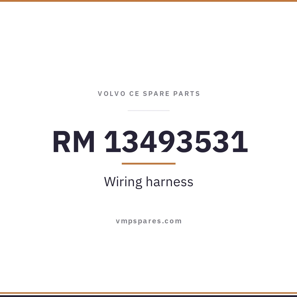 RM 13493531 – Wiring harness