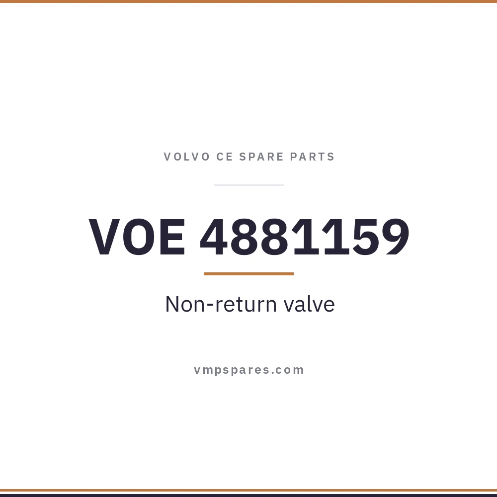 VOE 4881159 – Non-return valve