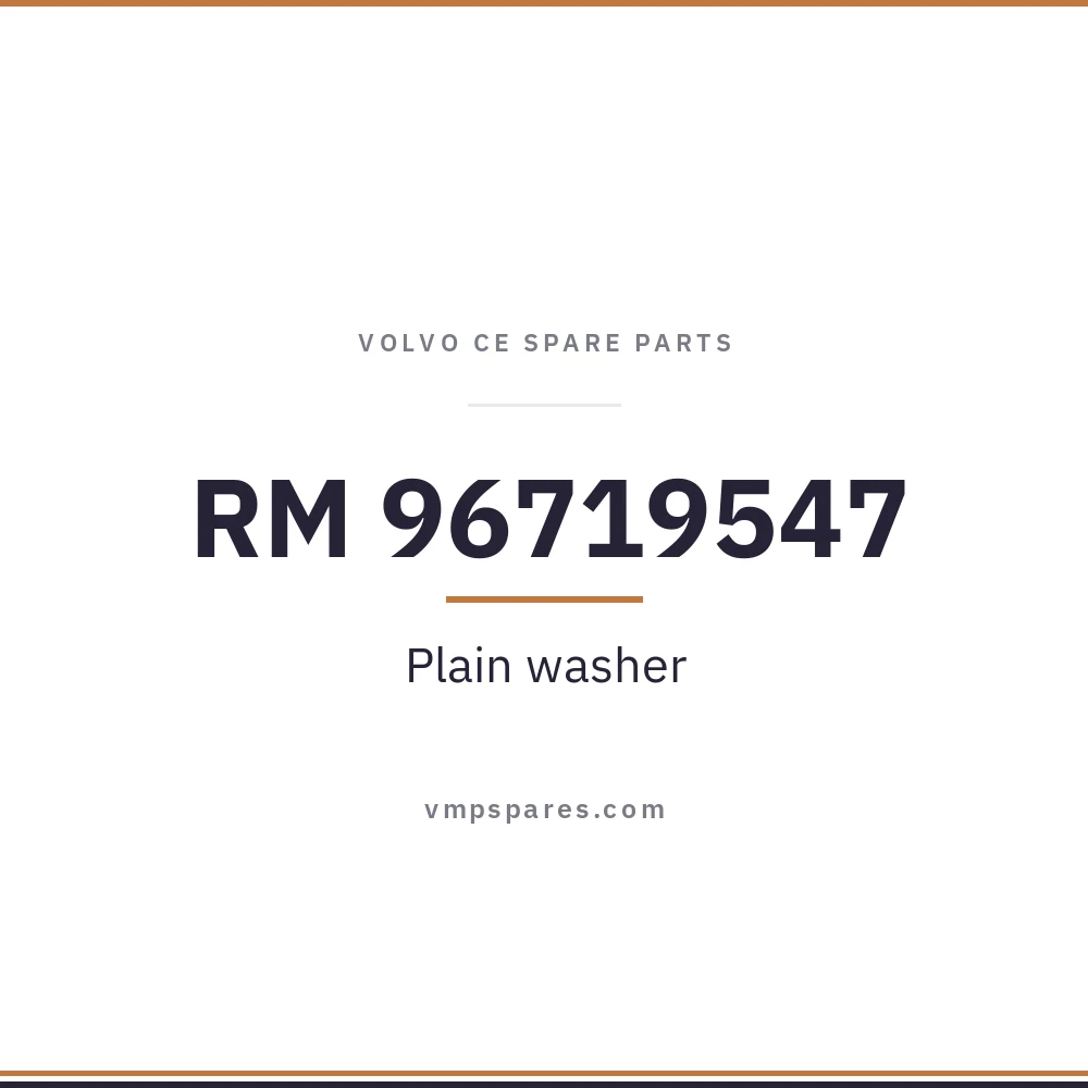 RM 96719547 – Plain washer