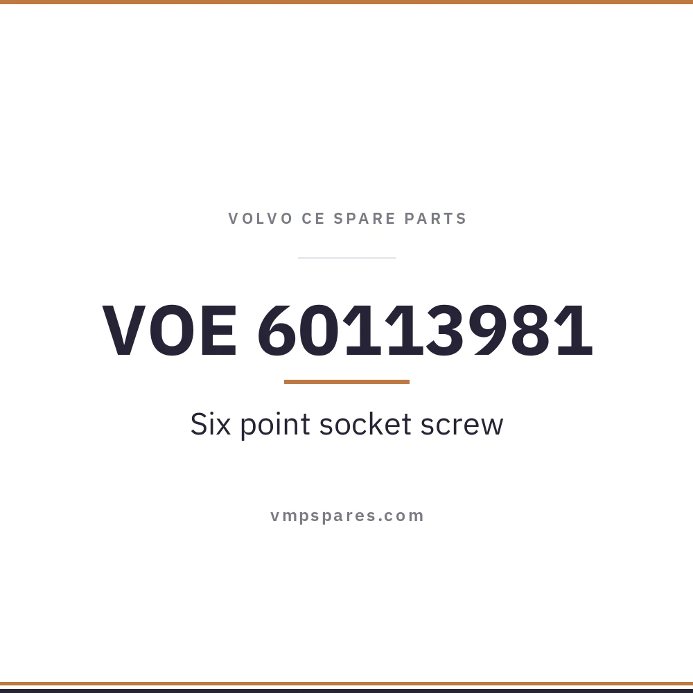 VOE 60113981 – Six point socket screw