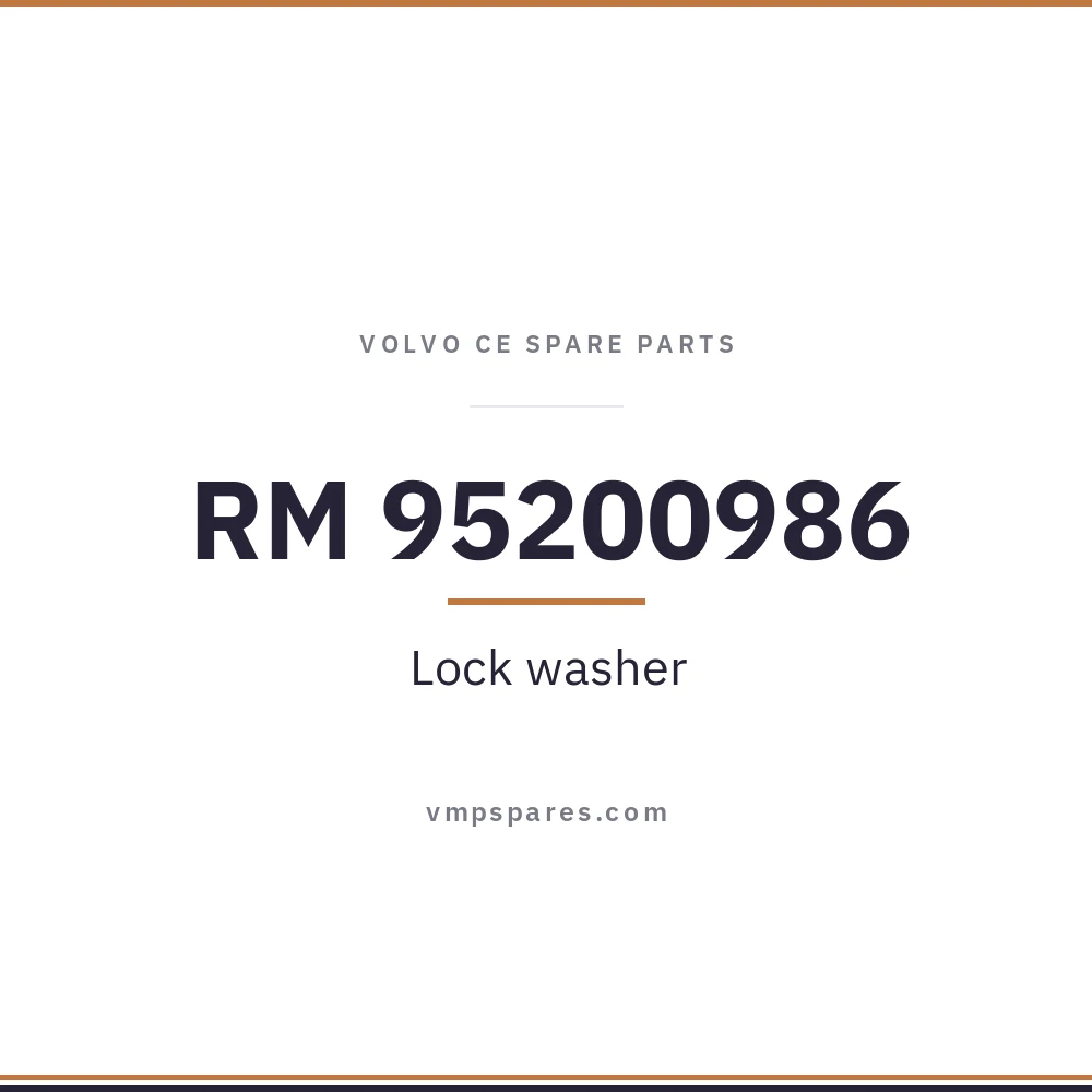 RM 95200986 – Lock washer