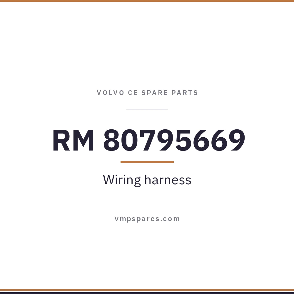 RM 80795669 – Wiring harness