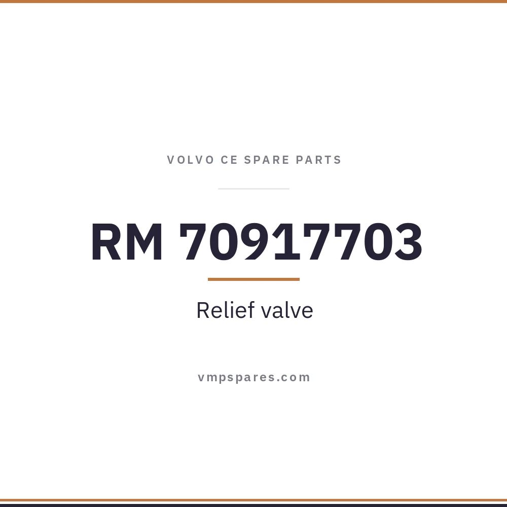RM 70917703 – Relief valve