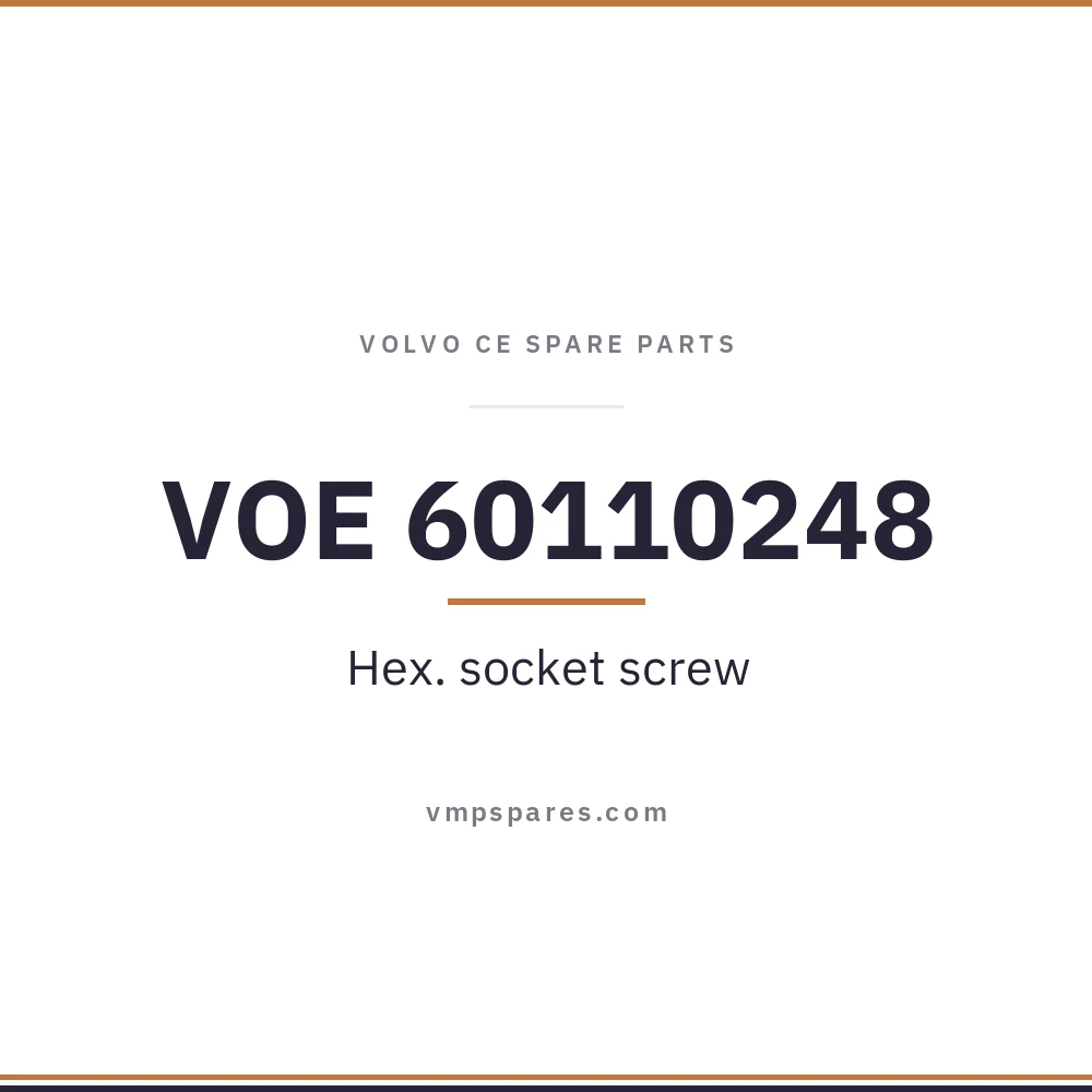 VOE 60110248 – Hex. socket screw