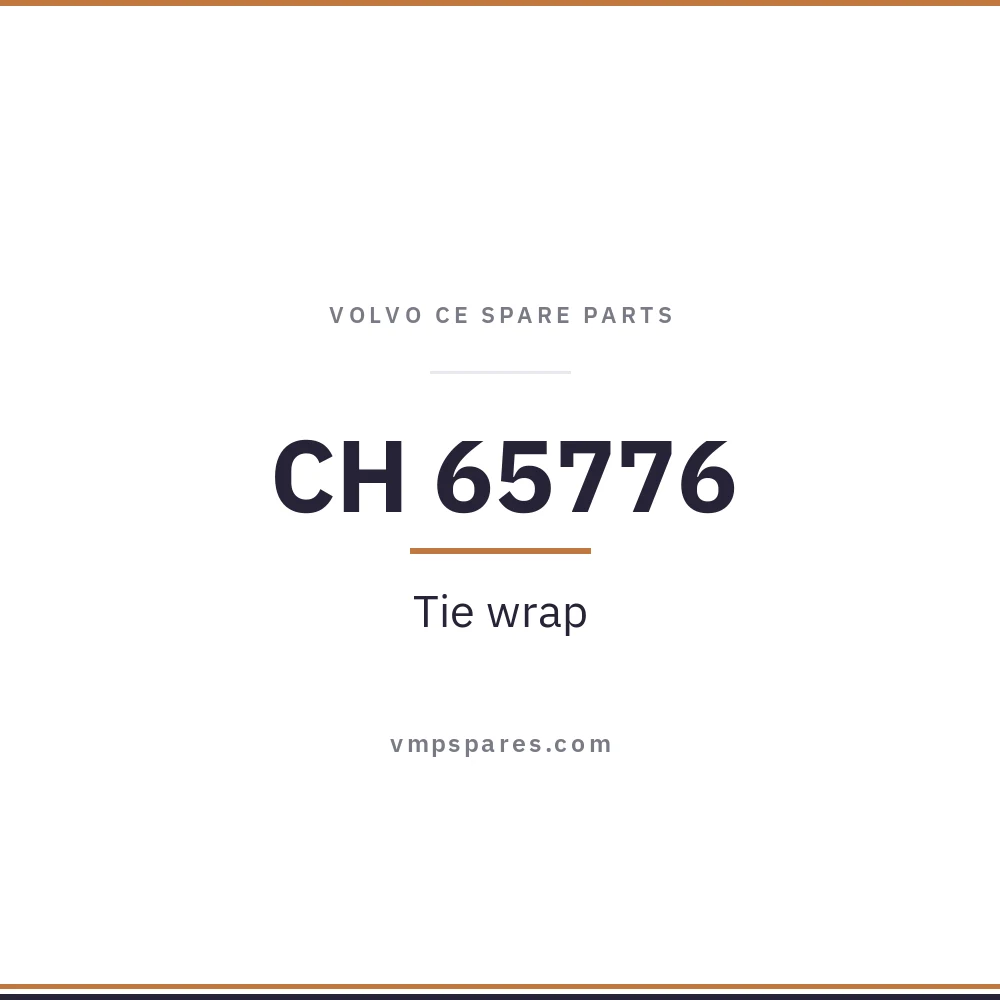 CH 65776 – Tie wrap