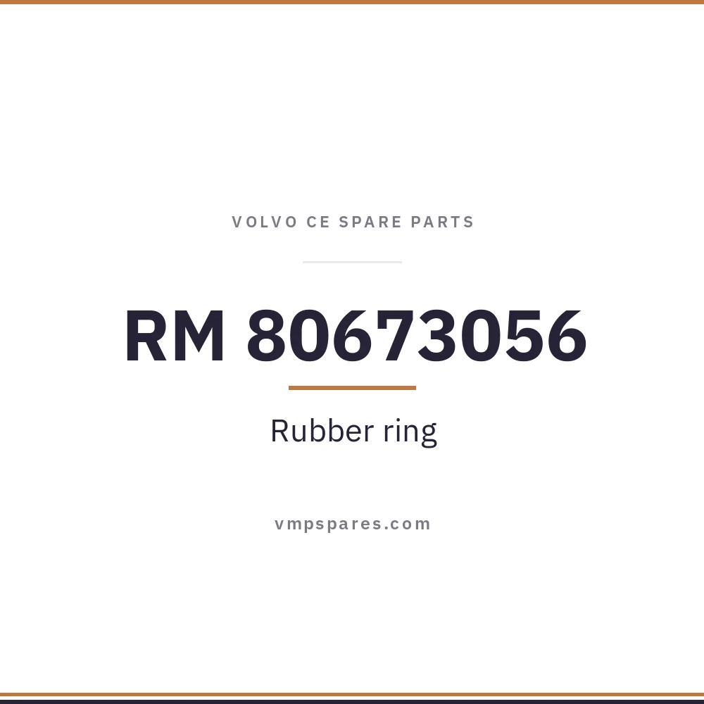RM 80673056 – Rubber ring