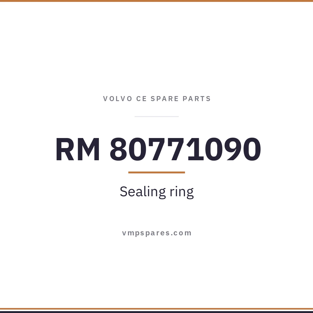 RM 80771090 – Sealing ring
