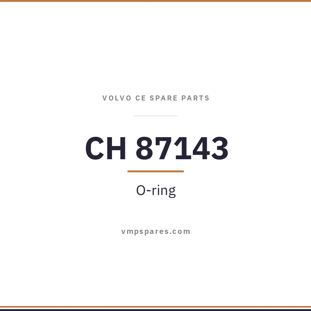 CH 87143 – O-ring