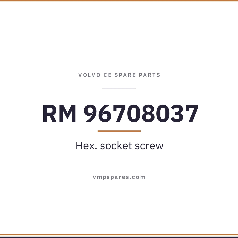 RM 96708037 – Hex. socket screw