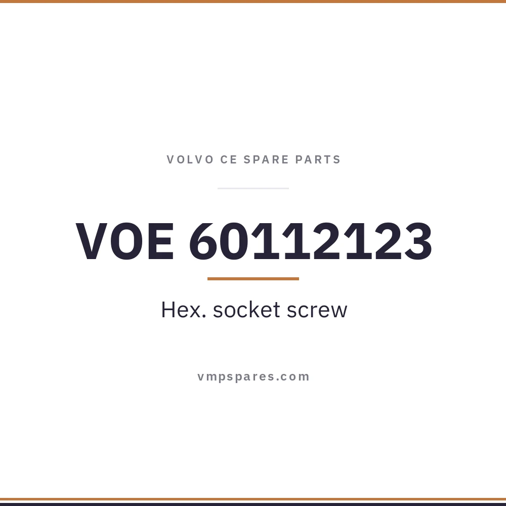VOE 60112123 – Hex. socket screw