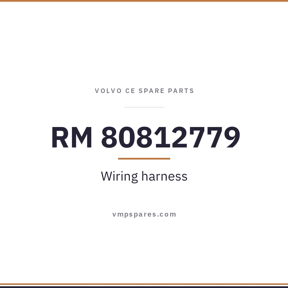 RM 80812779 – Wiring harness