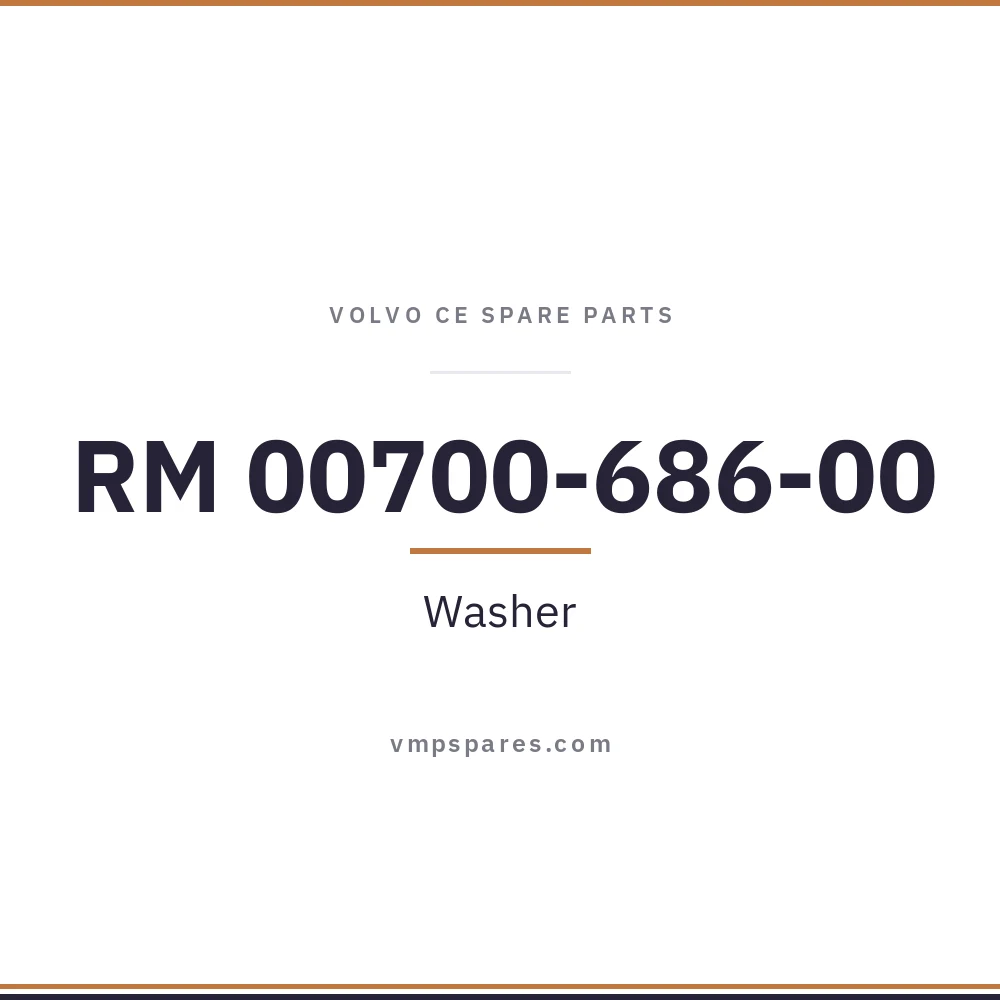 RM 00700-686-00 – Washer