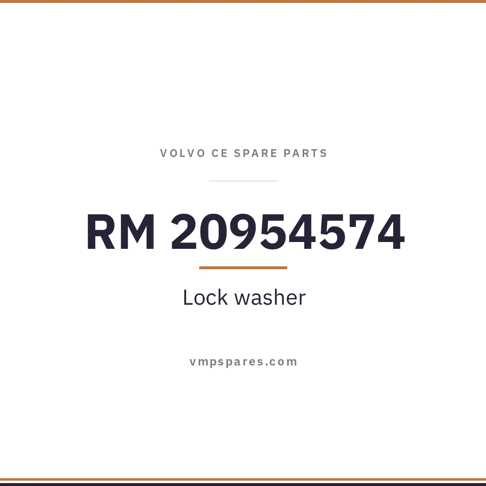 RM 20954574 – Lock washer
